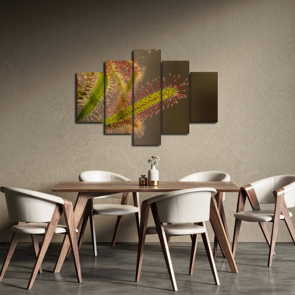 Obraz rastliny (150x105 cm)