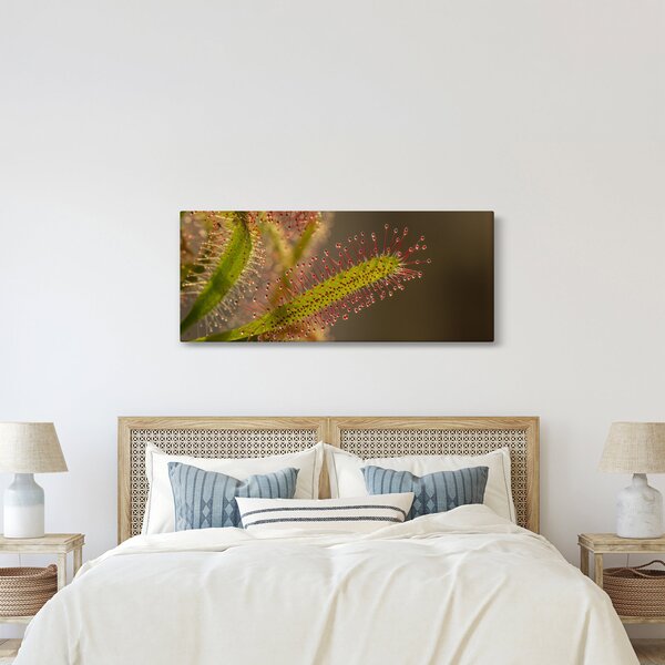 Obraz rastliny (120x50 cm)
