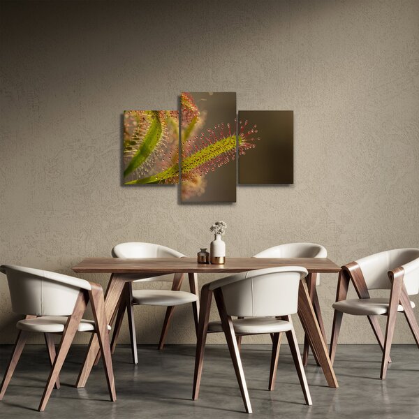 Obraz rastliny (90x60 cm)