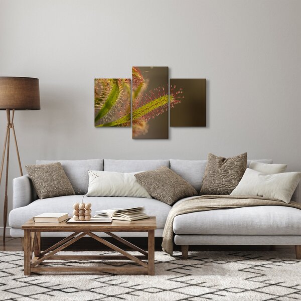 Obraz rastliny (90x60 cm)