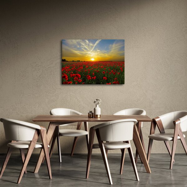 Braz poľa vlčích makov (70x50 cm)