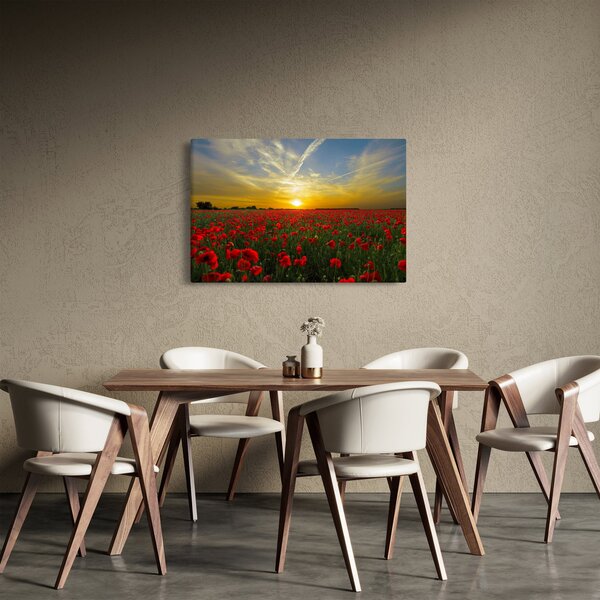 Braz poľa vlčích makov (90x60 cm)