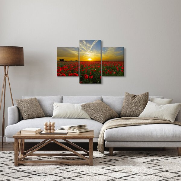 Braz poľa vlčích makov (90x60 cm)
