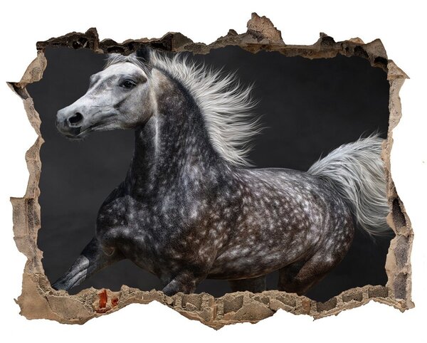 Díra 3D fototapeta na stěnu Gray arabský kôň