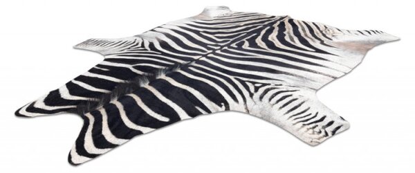Koberec imitácia kože Zebra G5128-1 biela-čierna