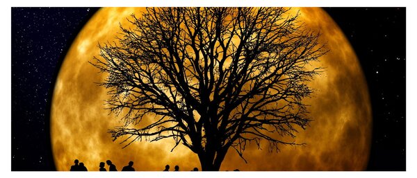 Obraz mesiace a siluet (120x50 cm)