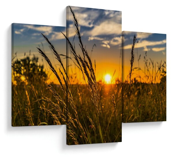 Obraz pole pri západe slnka (90x60 cm)