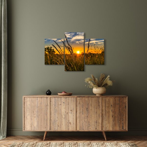 Obraz pole pri západe slnka (90x60 cm)