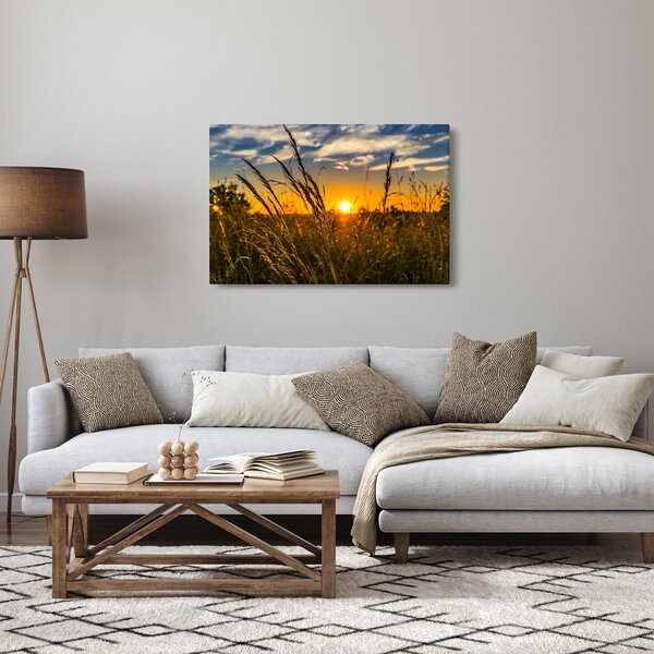 Obraz pole pri západe slnka (90x60 cm)