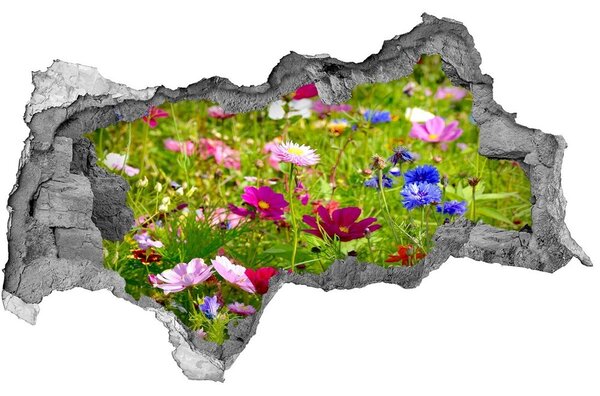 Samolepiaca nálepka fototapeta Poľné kvety nd-b-169402975