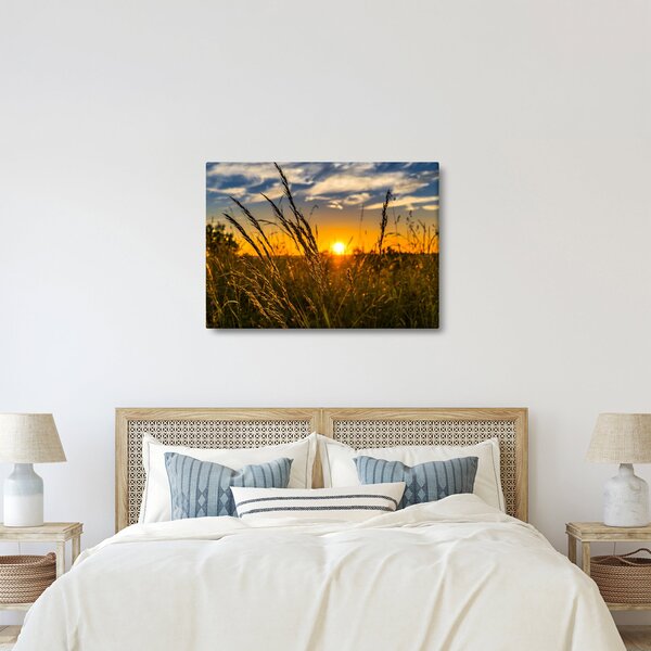 Obraz pole pri západe slnka (70x50 cm)