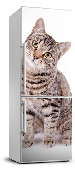 Samolepiace nálepka na chladničku stenu Mačka