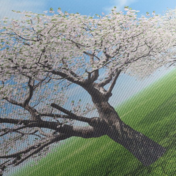 Obraz stromov (120x50 cm)