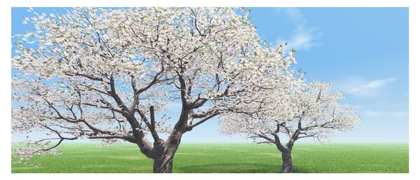 Obraz stromov (120x50 cm)