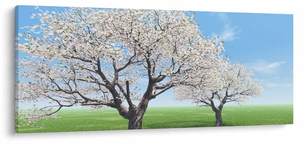 Obraz stromov (120x50 cm)