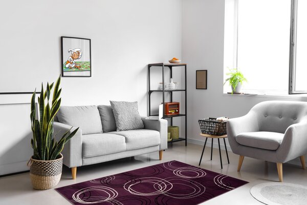 Alfa Carpets , Kusový koberec Circles lila, 120x170, fialová, chodba / predsieň