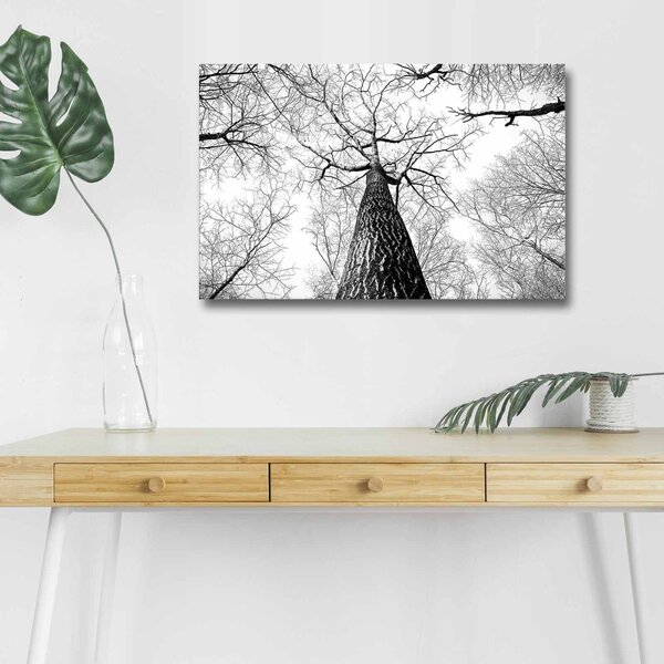 Wallity Maľba s LED osvetlením TREE ROOT 68 45 x 70 cm