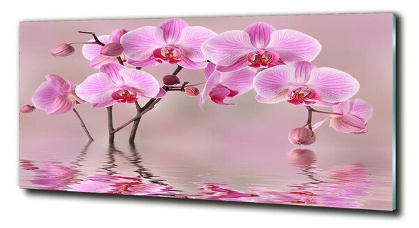 Moderné foto obraz na stenu Ružová orchidea