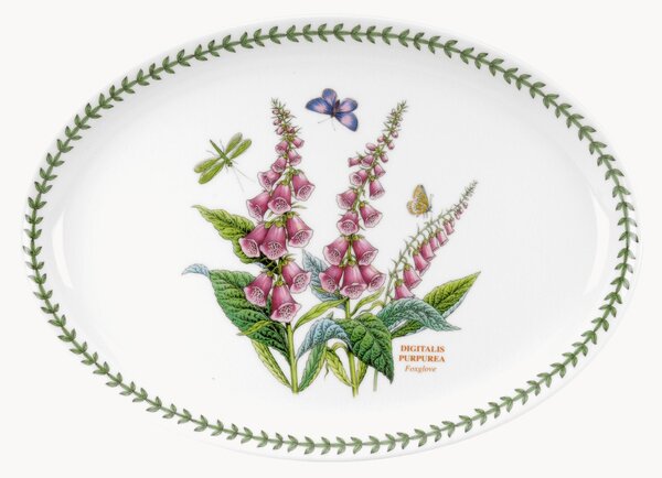 Oválny tanier Foxglove