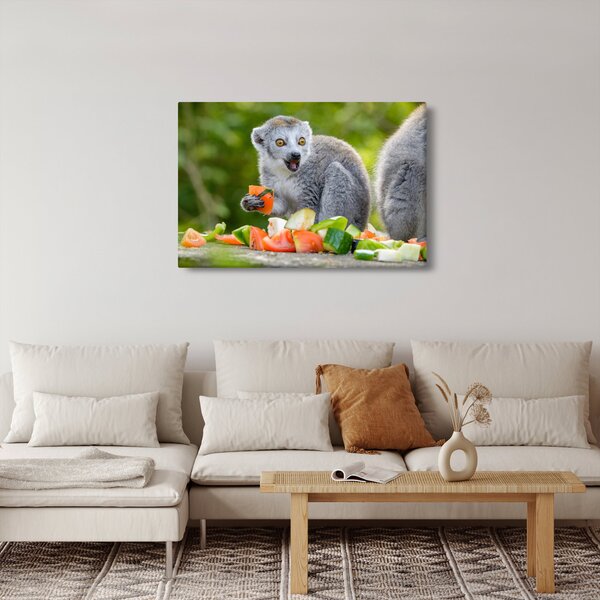 Obraz lemura (90x60 cm)