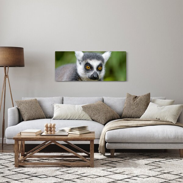 Obraz lemura (120x50 cm)