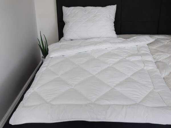 2G Lipov Súprava Aloe Vera celoročná - 135x200 / 70x90 cm | akce 1+1 (2ks)