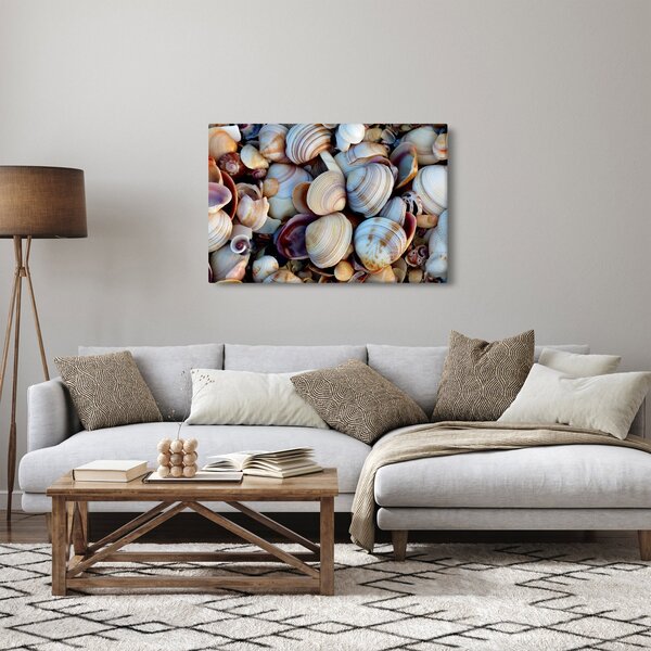 Obraz mušlí (90x60 cm)