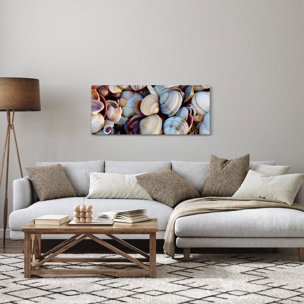 Obraz mušlí (120x50 cm)