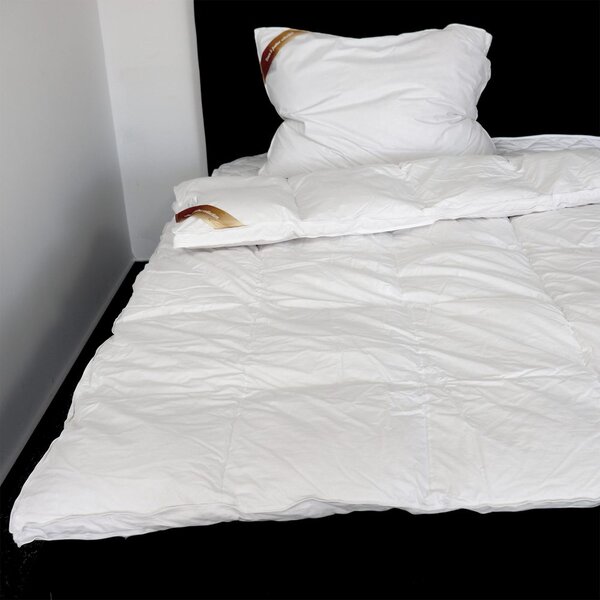 2G Lipov Luxusná súprava z peria Down & feather collection - 140x200 / 70x90 cm