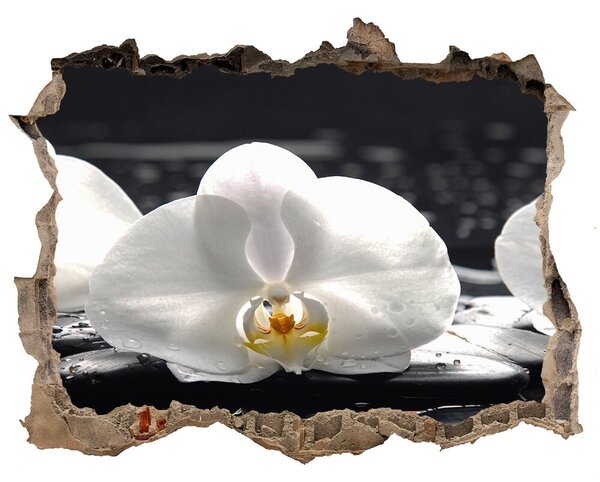 Samolepící díra na stěnu nálepka Orchidea nd-k-62952104