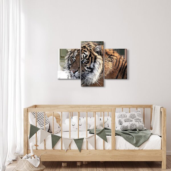 Obraz tigra (90x60 cm)