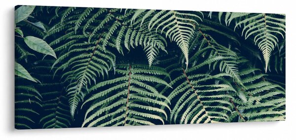 Obraz listov papradí (120x50 cm)