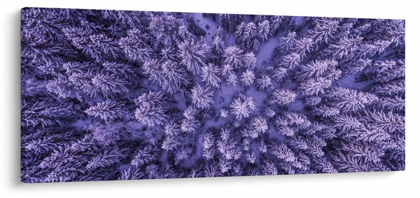 Obraz zasnežených stromov (120x50 cm)