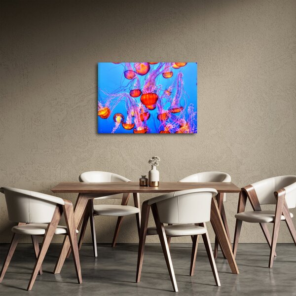 Obraz medúz v mori (70x50 cm)