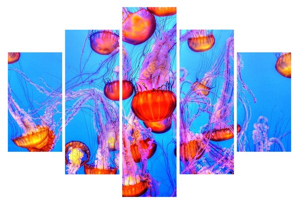Obraz medúz v mori (150x105 cm)