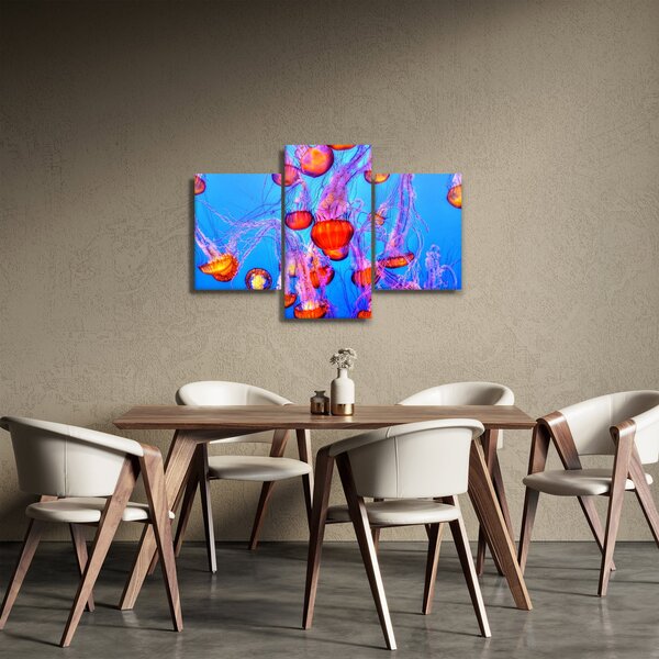 Obraz medúz v mori (90x60 cm)
