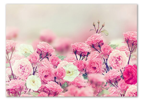 Moderný sklenený obraz z fotografie Kvety divokej ruže
