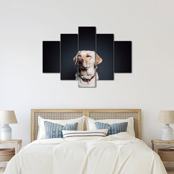 Obraz labradora (150x105 cm)
