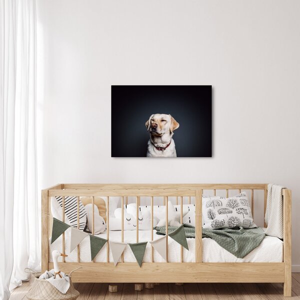 Obraz labradora (70x50 cm)