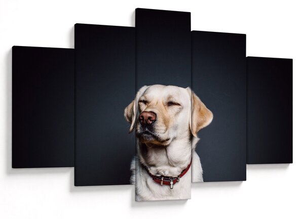 Obraz labradora (150x105 cm)