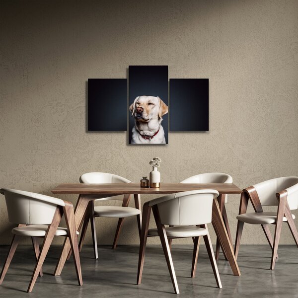 Obraz labradora (90x60 cm)