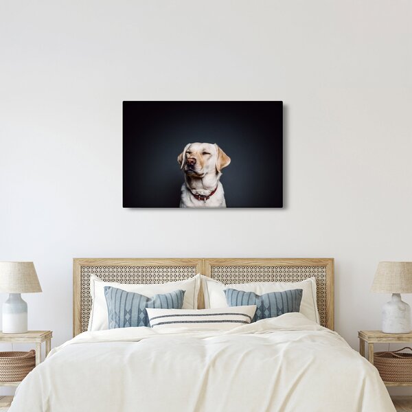 Obraz labradora (90x60 cm)