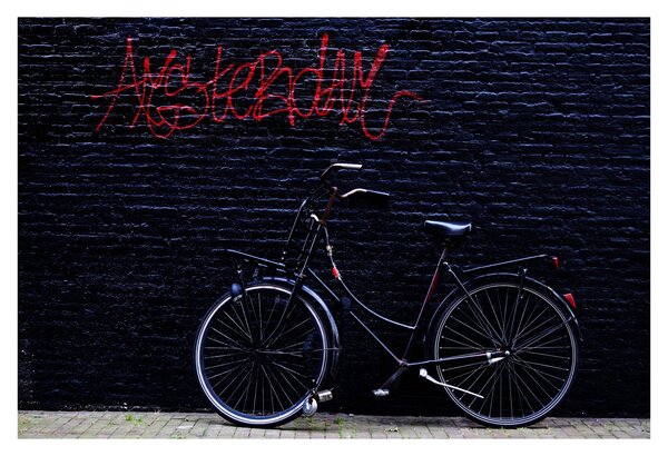 Obraz bicykla v Amsterdame (90x60 cm)