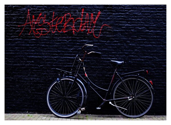 Obraz bicykla v Amsterdame (70x50 cm)