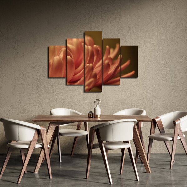 Obraz detailu kvety (150x105 cm)