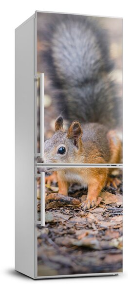 Foto nálepka na chladničku Veverička v lese