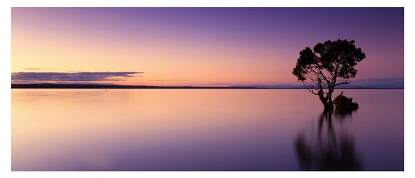 Obraz vodnej hladiny pri východe slnka (120x50 cm)