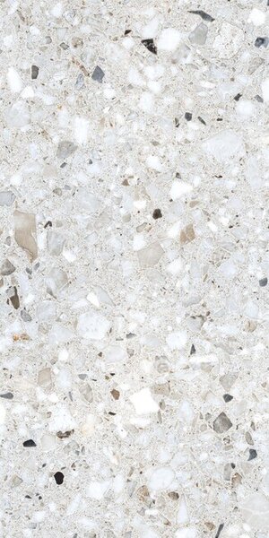 Terazzo Silver 120x60 R BA 7 mm