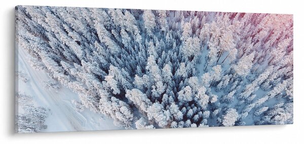 Obraz zasnežených stromov (120x50 cm)