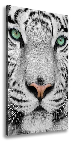 Foto obraz canvas Biely tiger pl-oc-50x100-f-13468757